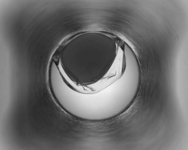 X0000095531477200801111403