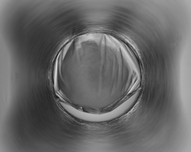 X0000095531481200801111403