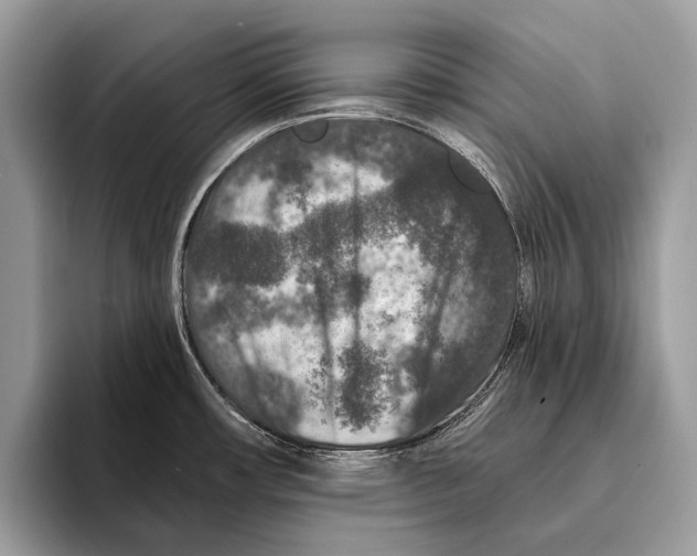 X0000095531482200801111403