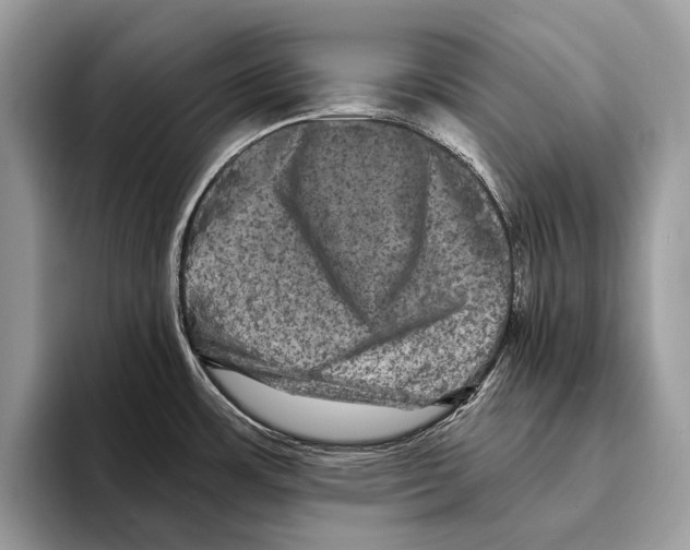 X0000095531483200801111403