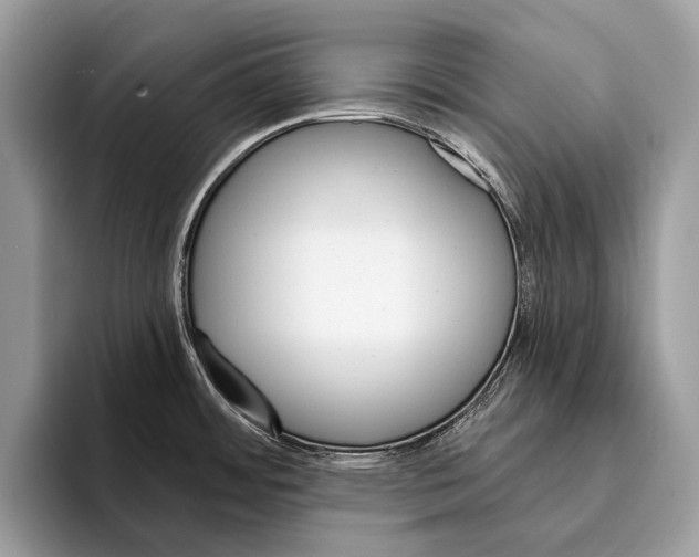 X0000095531484200801111403