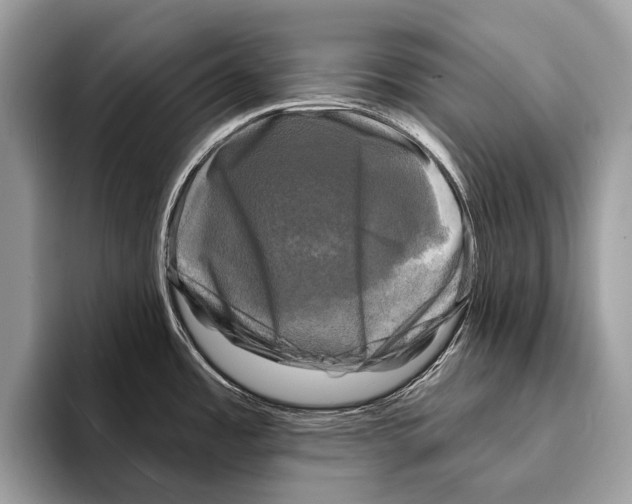 X0000095531485200801111403