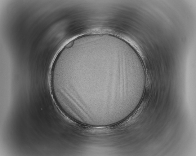 X0000095531486200801111403