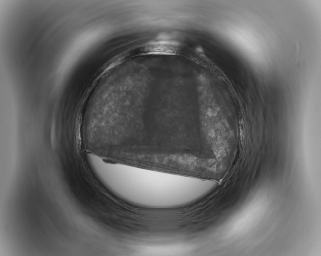 X0000095531487200801111403