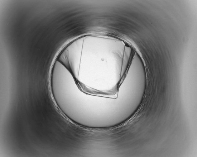 X0000095531488200801111403