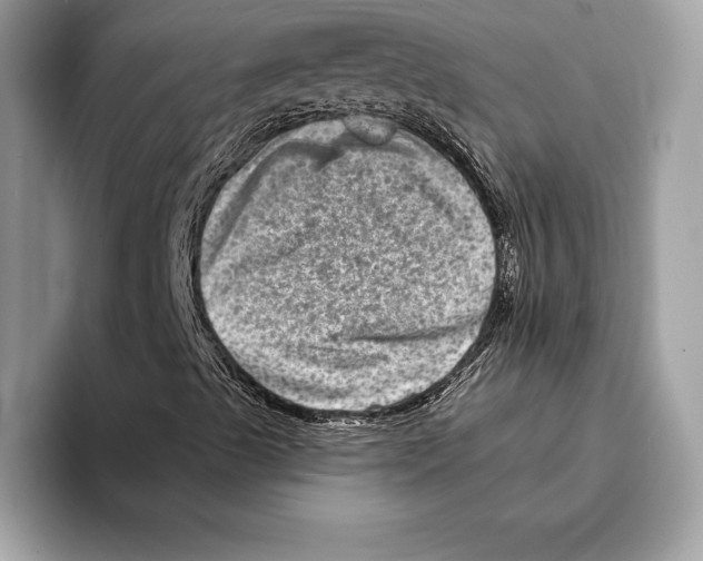 X0000095531489200801111402