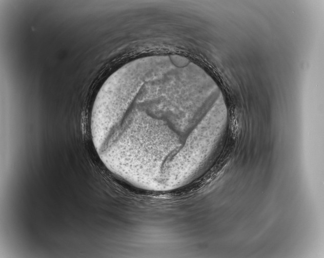 X0000095531490200801111402