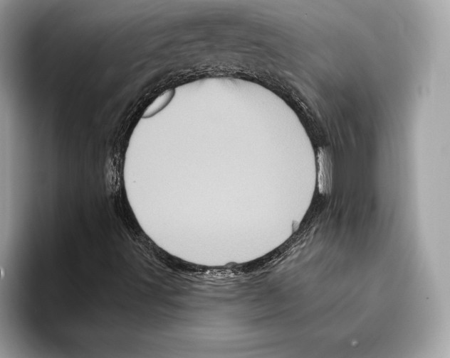 X0000095531491200801111402