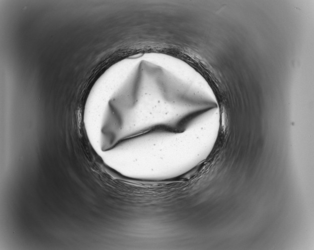 X0000095531492200801111402