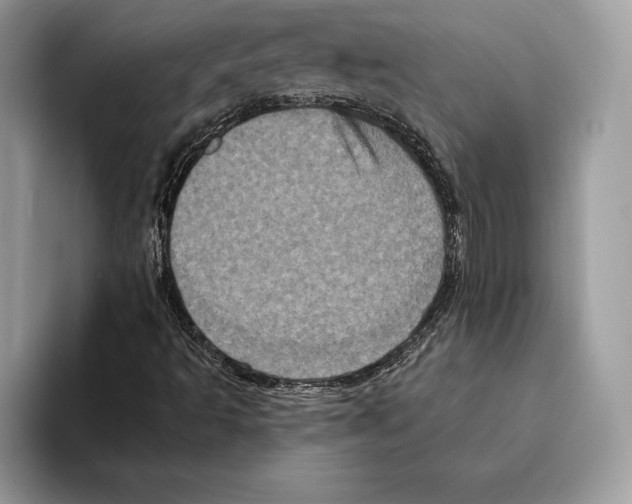 X0000095531493200801111402