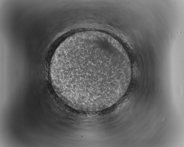 X0000095531494200801111402