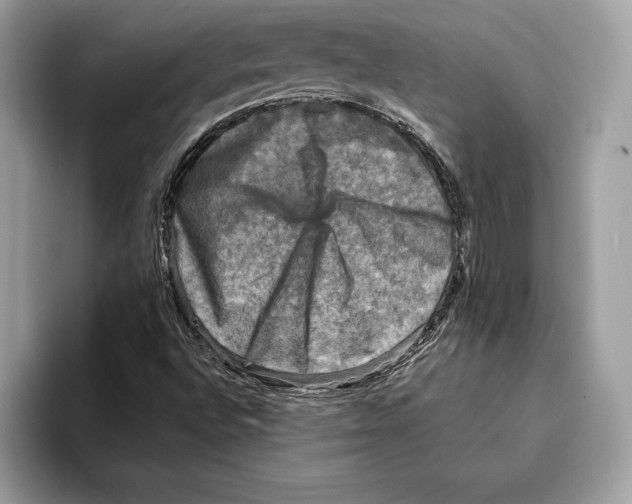 X0000095531496200801111402