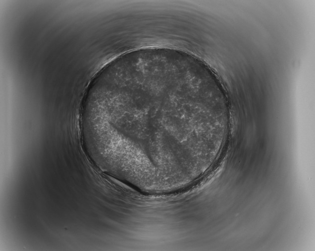 X0000095531497200801111402