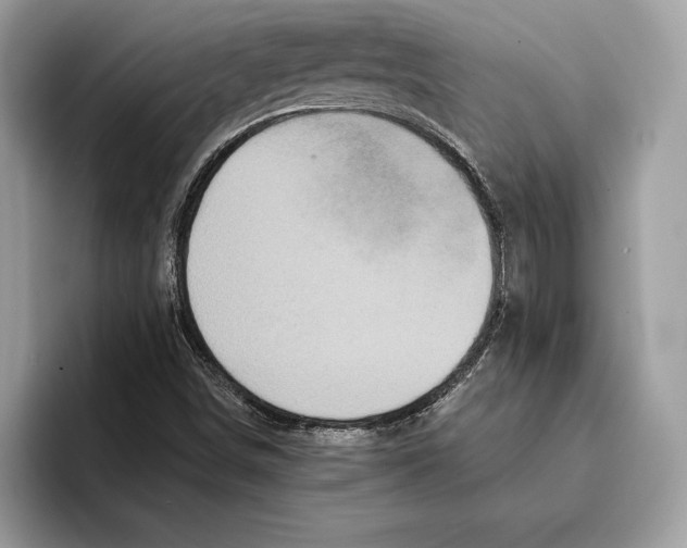 X0000095531498200801111402