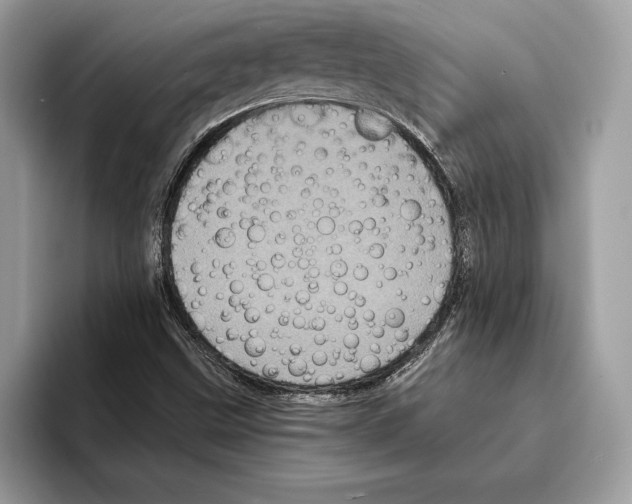 X0000095531499200801111402