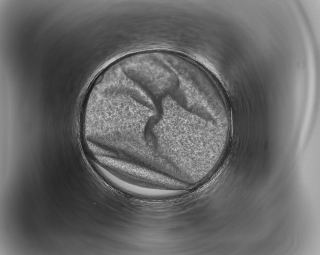 X0000095531500200801111402