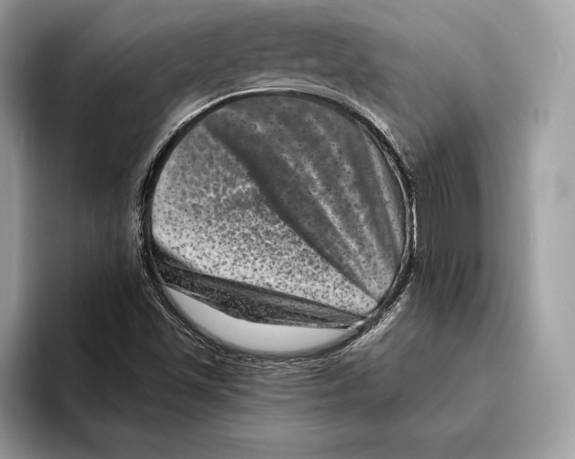 X0000095531501200801111402