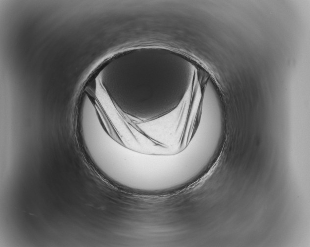 X0000095531502200801111402