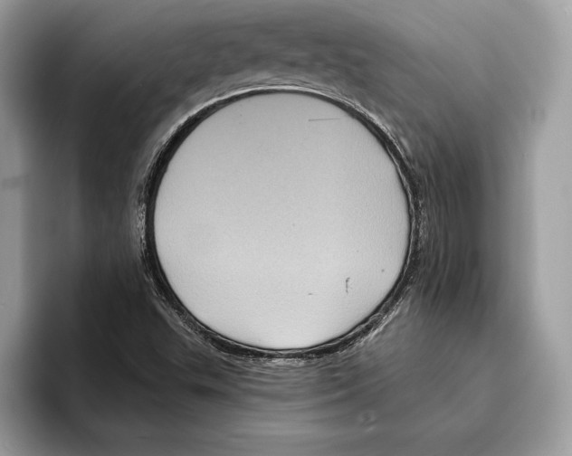 X0000095531503200801111402