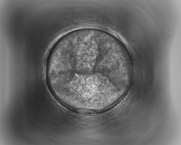 X0000095531504200801111402