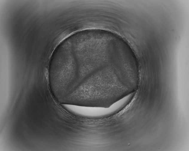 X0000095531505200801111403