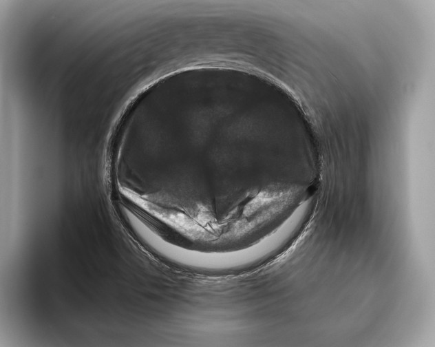 X0000095531506200801111403