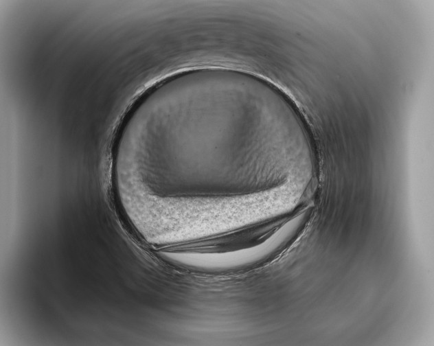 X0000095531507200801111403