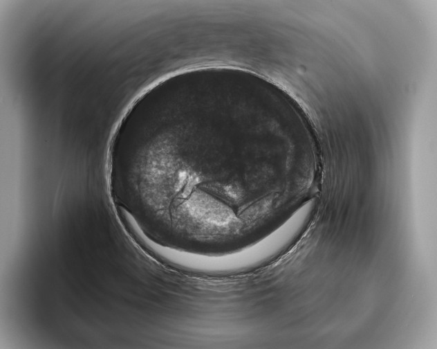 X0000095531508200801111403