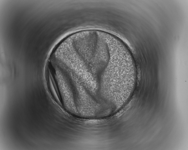 X0000095531510200801111403