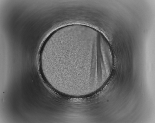 X0000095531511200801111403