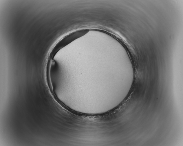 X0000095531512200801111403