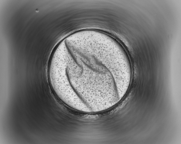 X0000095531513200801111403