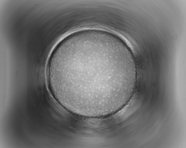 X0000095531514200801111403