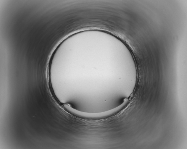 X0000095531516200801111403