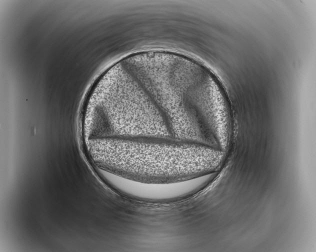 X0000095531517200801111403