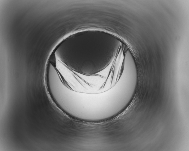 X0000095531518200801111403