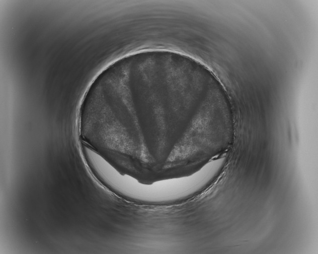 X0000095531519200801111403