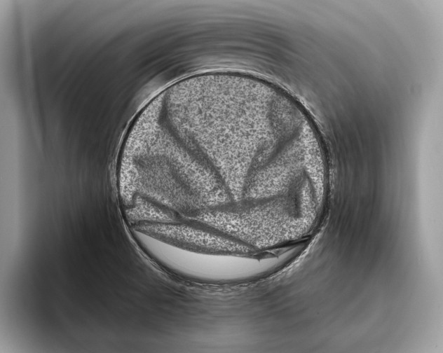 X0000095531521200801111403