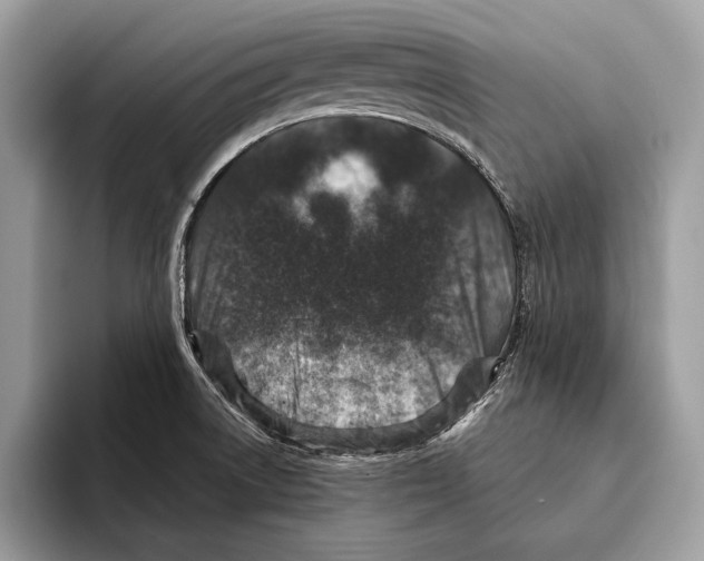 X0000095531522200801111403