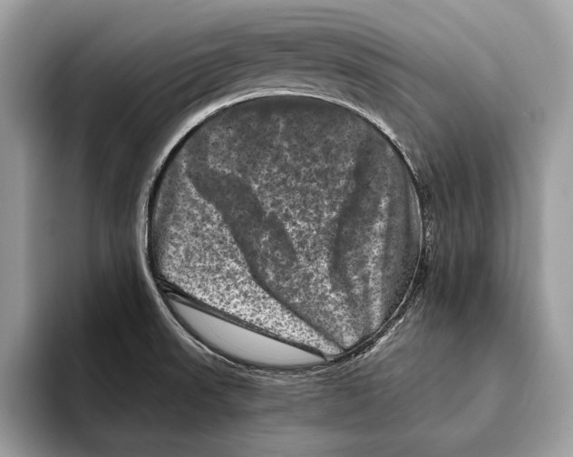 X0000095531523200801111403