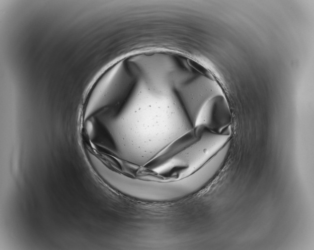 X0000095531524200801111403