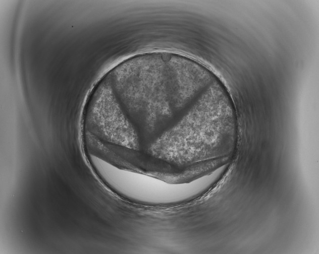 X0000095531525200801111403