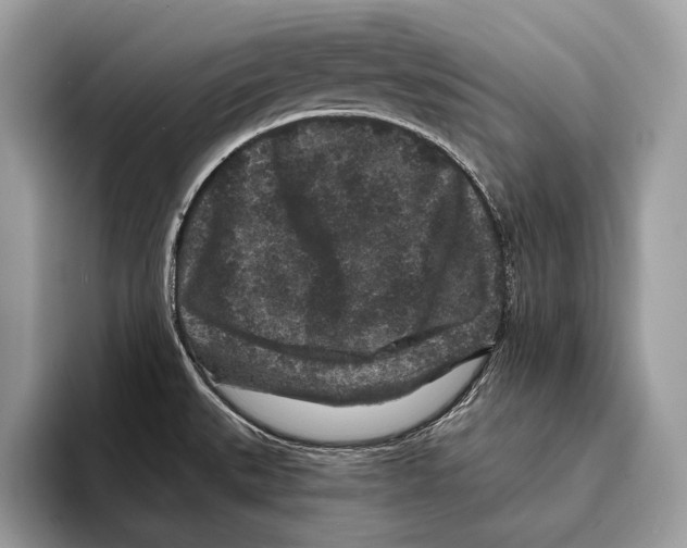 X0000095531527200801111403