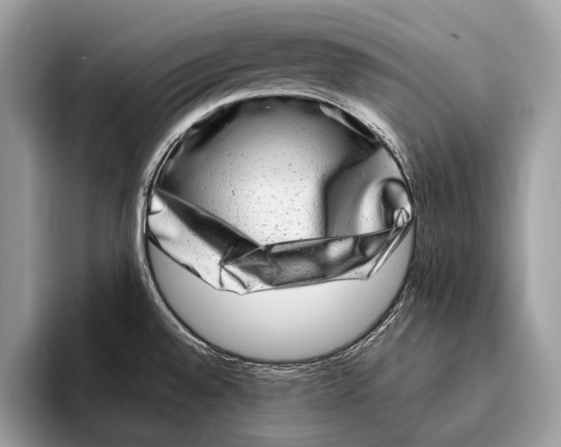 X0000095531528200801111403