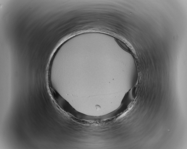 X0000095531530200801111403