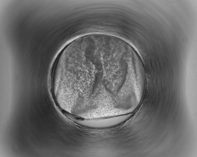 X0000095531531200801111403