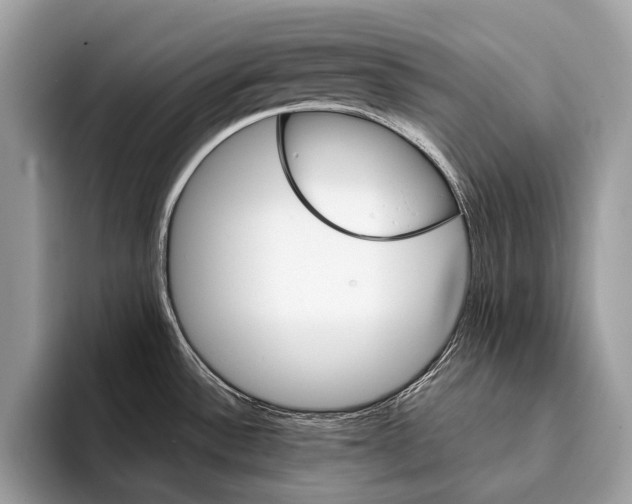 X0000095531532200801111403