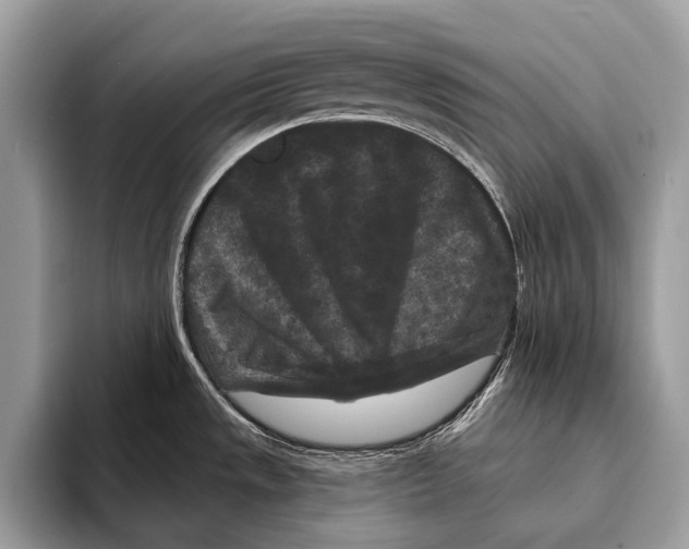 X0000095531533200801111403