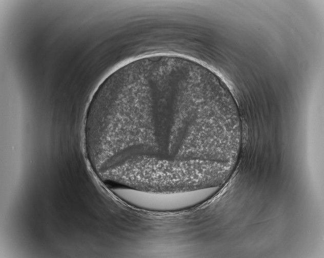 X0000095531534200801111403