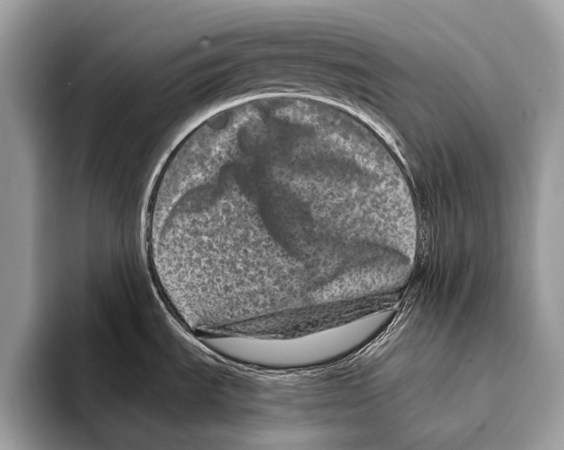 X0000095531535200801111403